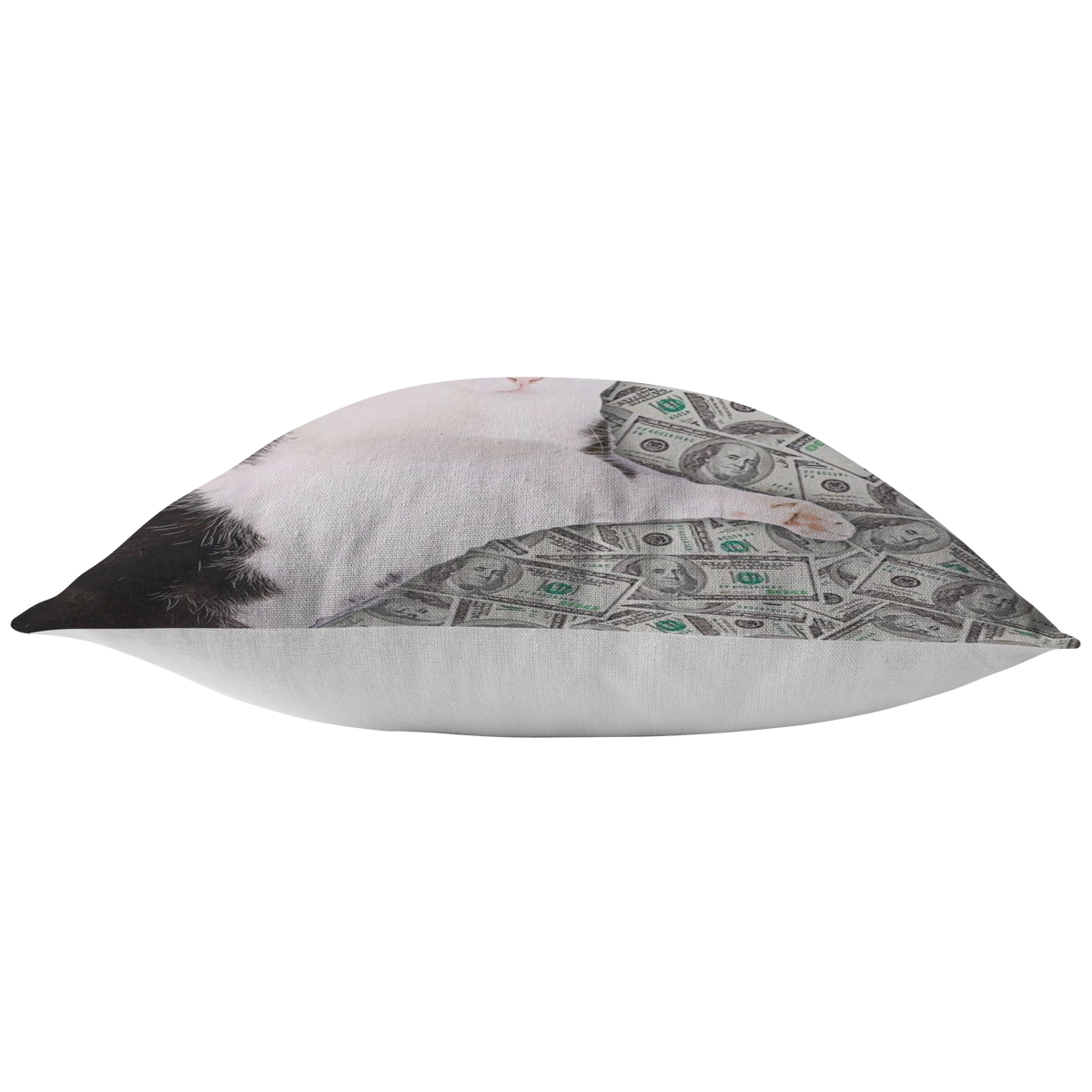 Cat Money Throw Pillow Meme Cuisine Funny Dorm Decor